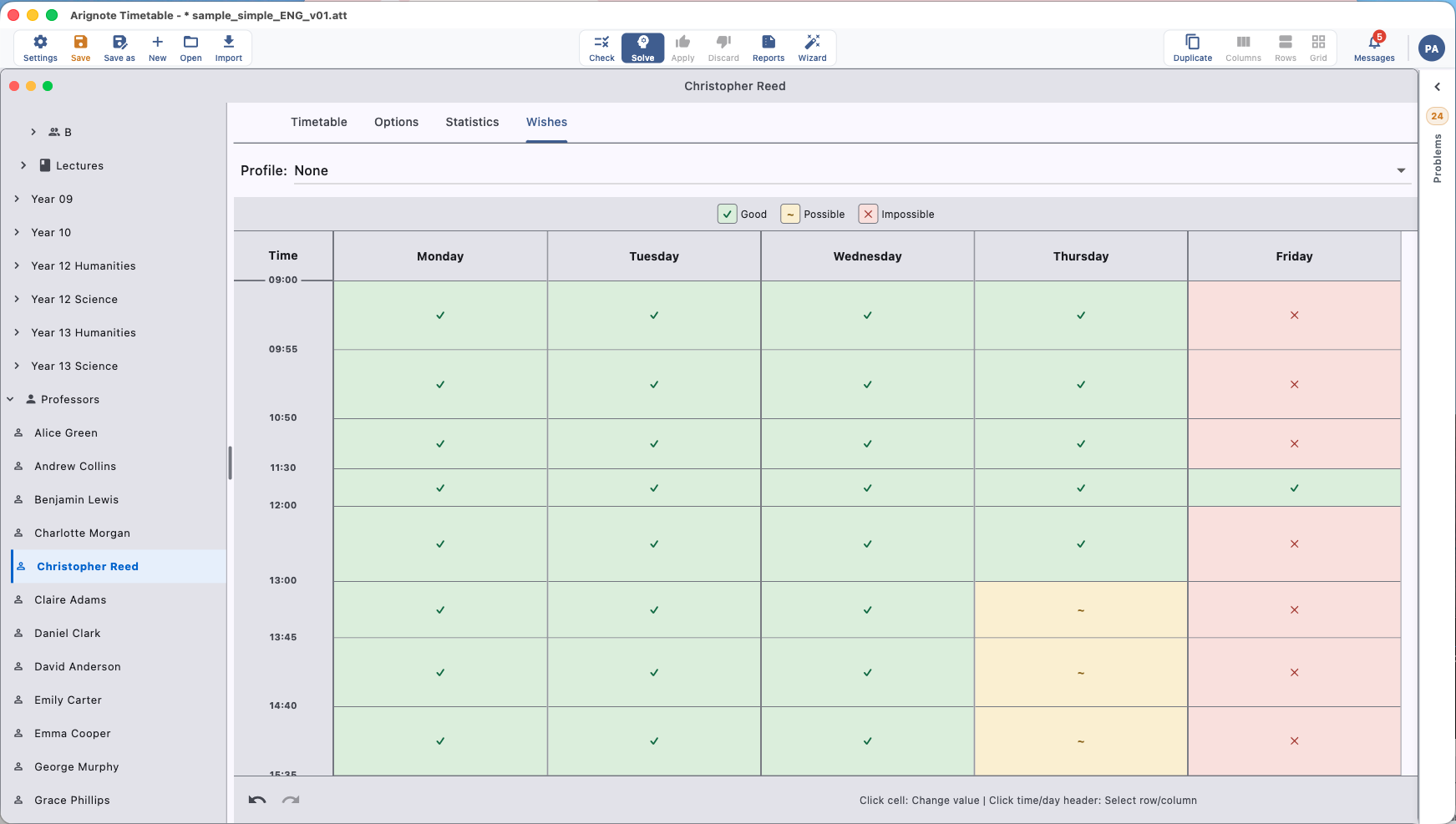 Wishes panel for soft-constraint preferences